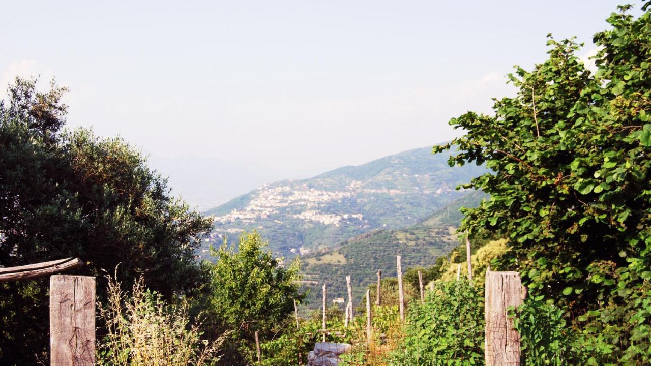 Madre Terra Villa Pimonte Dış mekan fotoğraf