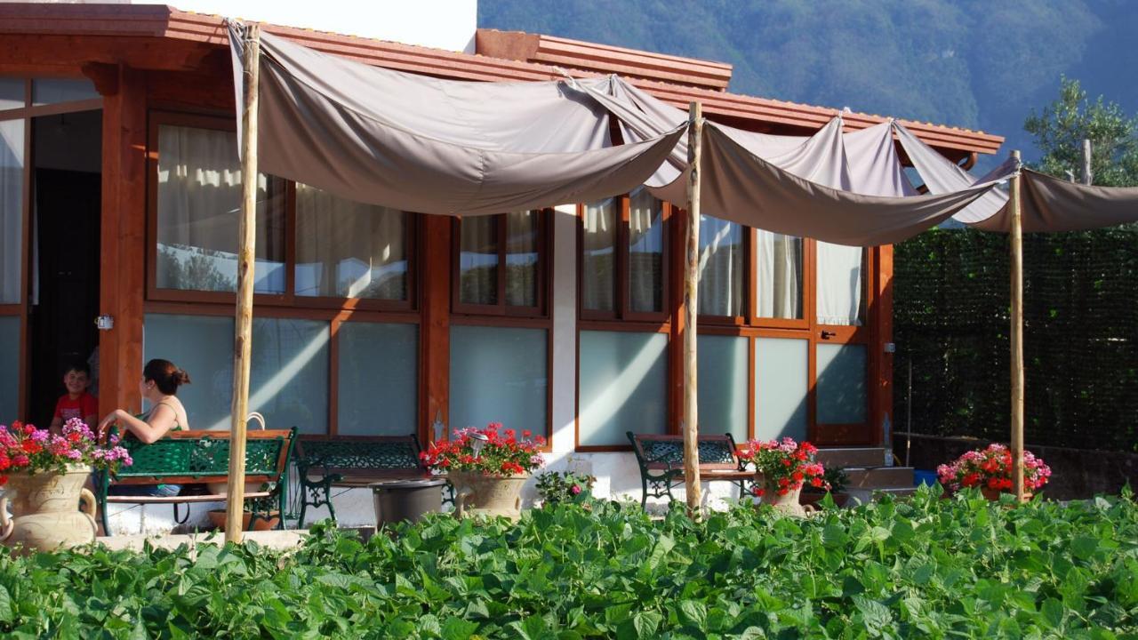 Madre Terra Villa Pimonte Dış mekan fotoğraf